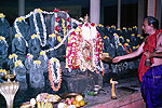 Shree Ananthapadmanabha Temple